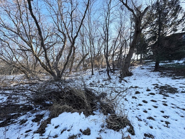 4-39 Grandview, LAKE CARROLL, Illinois 61046, ,Land,For Sale,Grandview,202507649