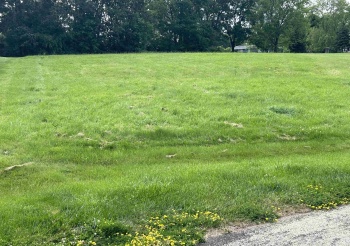 1008 Autumn, DAVIS, Illinois 61019, ,Land,For Sale,Autumn,202403141