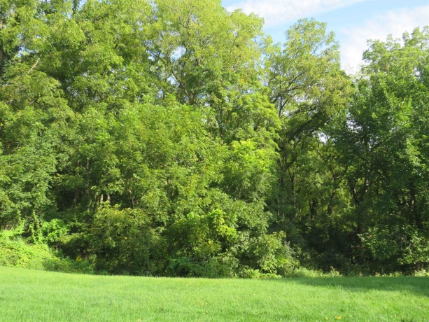 812 Shadow Bluff Drive, GALENA, Illinois 61036, 3 Bedrooms Bedrooms, ,3 BathroomsBathrooms,Condominium,For Sale,Shadow Bluff Drive,202505411