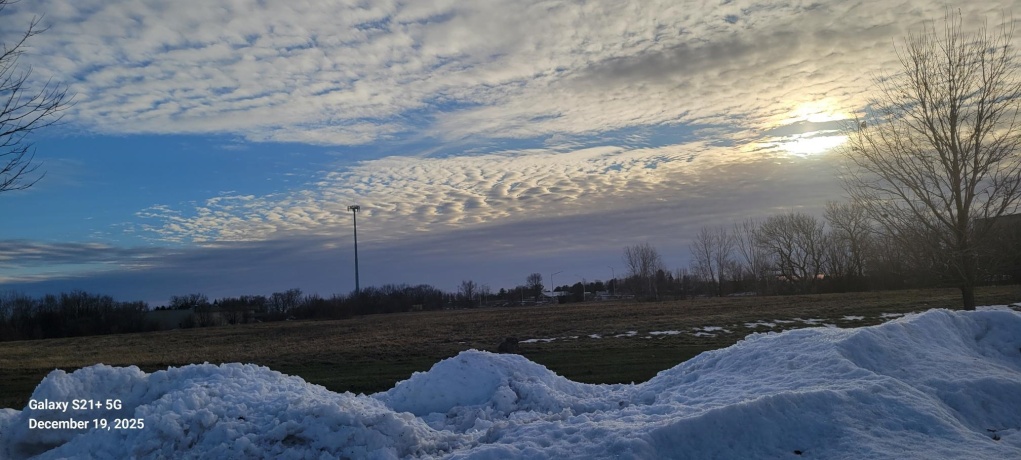 1255 Tebala, ROCKFORD, Illinois 61108, ,Land,For Sale,Tebala,202507666