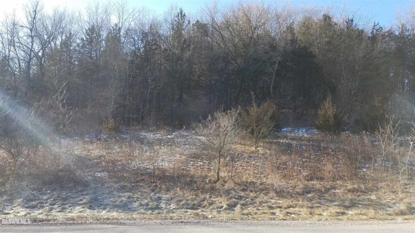 110 Glen Hollow, GALENA, Illinois 61036, ,Land,For Sale,Glen Hollow,194789