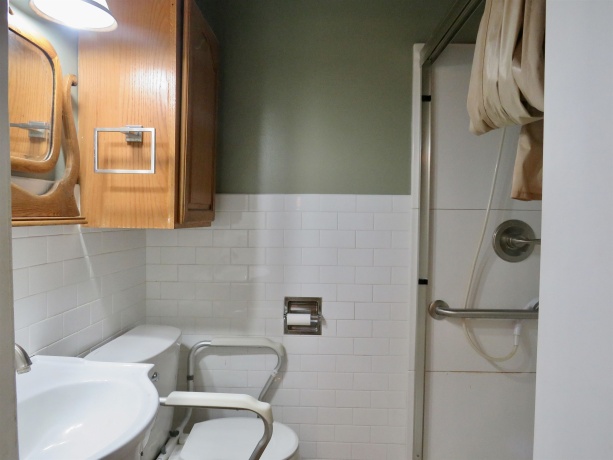 515 Park, GALENA, Illinois 61036, 4 Bedrooms Bedrooms, ,2 BathroomsBathrooms,House,For Sale,Park,202506299