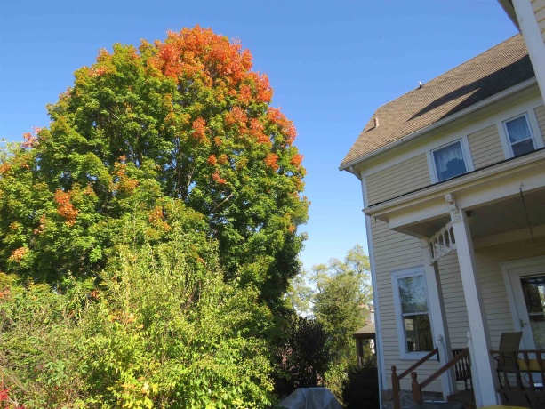 515 Park, GALENA, Illinois 61036, 4 Bedrooms Bedrooms, ,2 BathroomsBathrooms,House,For Sale,Park,202506299