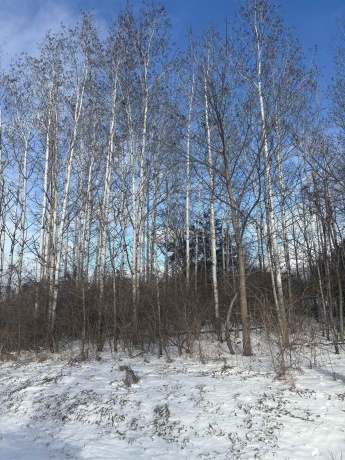 2A3 Hidden Spring, APPLE RIVER, Illinois 61001, ,Land,For Sale,Hidden Spring,202507766