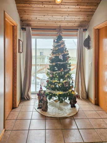 203 MONROE, MONROE CENTER, Illinois 61052, 4 Bedrooms Bedrooms, ,2 BathroomsBathrooms,House,For Sale,MONROE,202507774