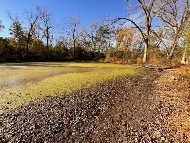 8087 Auburn, WINNEBAGO, Illinois 61088, 4 Bedrooms Bedrooms, ,2 BathroomsBathrooms,House,For Sale,Auburn,202600002