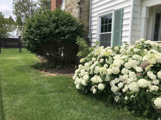 5382 GUILFORD, ROCKFORD, Illinois 61107, 3 Bedrooms Bedrooms, ,2 BathroomsBathrooms,House,For Sale,GUILFORD,202600014