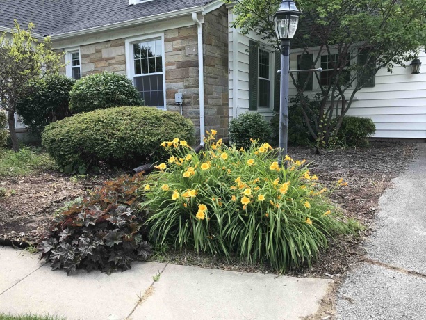 5382 GUILFORD, ROCKFORD, Illinois 61107, 3 Bedrooms Bedrooms, ,2 BathroomsBathrooms,House,For Sale,GUILFORD,202600014