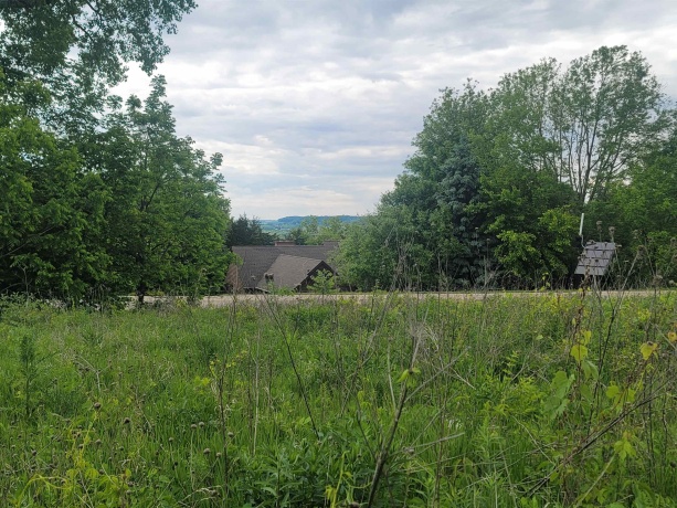 2 Moraine, GALENA, Illinois 61036, ,Land,For Sale,Moraine,202503609