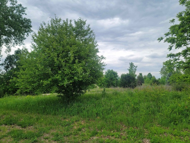 2 Moraine, GALENA, Illinois 61036, ,Land,For Sale,Moraine,202503609