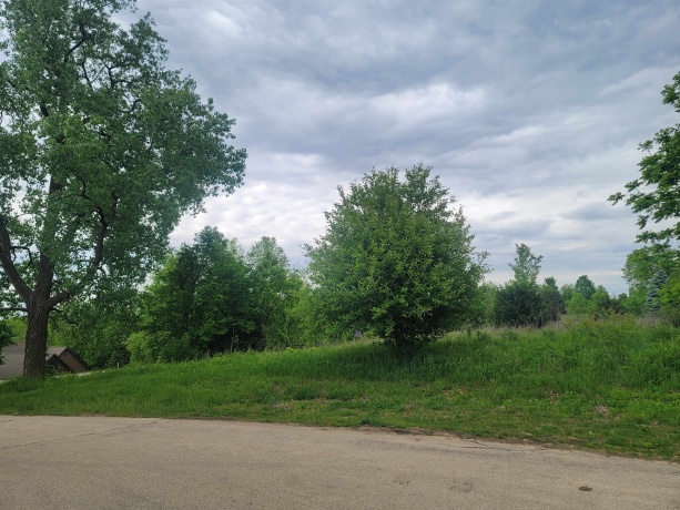 2 Moraine, GALENA, Illinois 61036, ,Land,For Sale,Moraine,202503609