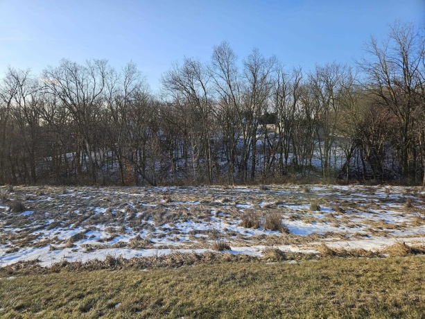 TBD Gig Drive (Lot 22), GALENA, Illinois 61036, ,Land,For Sale,Gig Drive (Lot 22),202600063