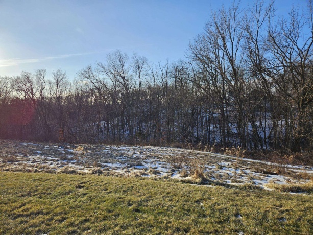 TBD Gig Drive (Lot 22), GALENA, Illinois 61036, ,Land,For Sale,Gig Drive (Lot 22),202600063