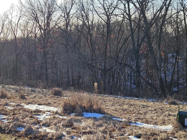 TBD Gig Drive (Lot 24), GALENA, Illinois 61036, ,Land,For Sale,Gig Drive (Lot 24),202600065