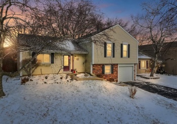 113 Wallace, BARTLETT, Illinois 60103, 3 Bedrooms Bedrooms, ,1 BathroomBathrooms,House,For Sale,Wallace,202600074