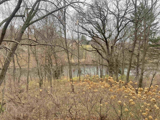 3A14 General Grant, APPLE RIVER, Illinois 61001, 2 Bedrooms Bedrooms, ,2 BathroomsBathrooms,House,For Sale,General Grant,202600123