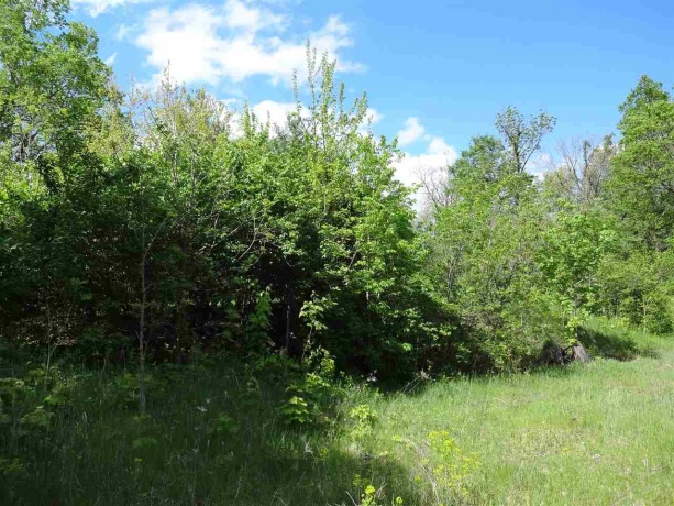 980 Illinois, OREGON, Illinois 61061, ,Land,For Sale,Illinois,202600124