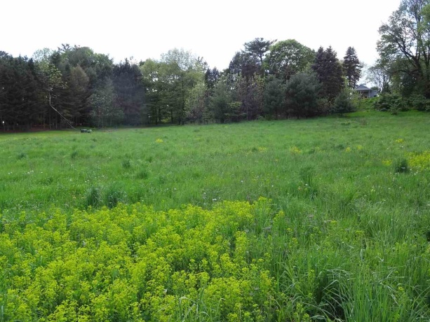 404 Lillemor, OREGON, Illinois 61061, ,Land,For Sale,Lillemor,202600131