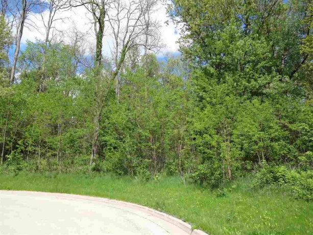 405 Lillemor, OREGON, Illinois 61061, ,Land,For Sale,Lillemor,202600132