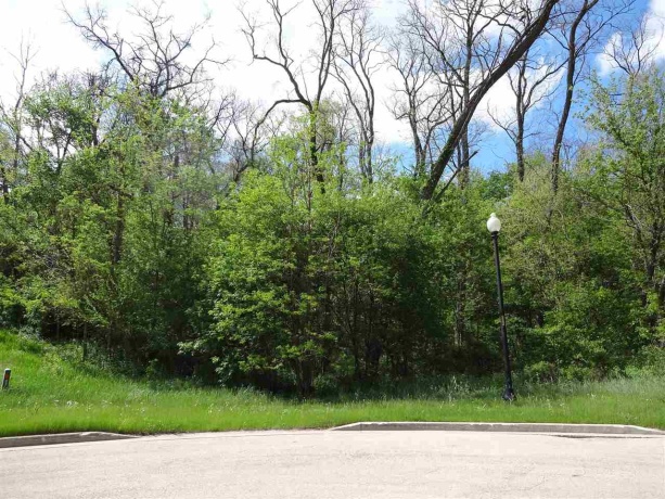 410 Lillemor, OREGON, Illinois 61061, ,Land,For Sale,Lillemor,202600133