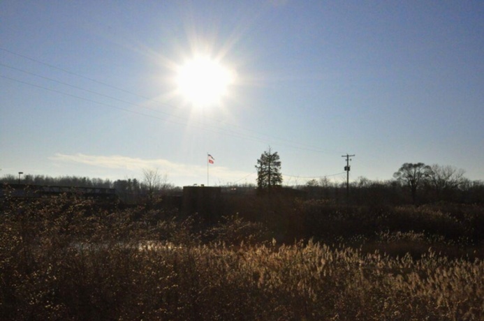 295 Illinois, MARSEILLES, Illinois 61341, 3 Bedrooms Bedrooms, ,1 BathroomBathrooms,House,For Sale,Illinois,202600166