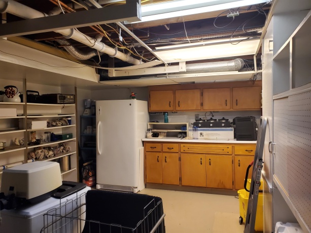 2216 Dresden, ROCKFORD, Illinois 61103, 2 Bedrooms Bedrooms, ,2 BathroomsBathrooms,House,For Sale,Dresden,202600191