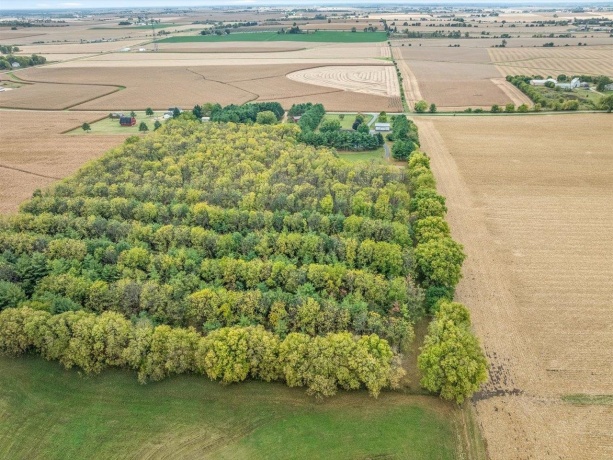 9104 Weber, RIDOTT, Illinois 61067, 4 Bedrooms Bedrooms, ,3 BathroomsBathrooms,House,For Sale,Weber,202506372