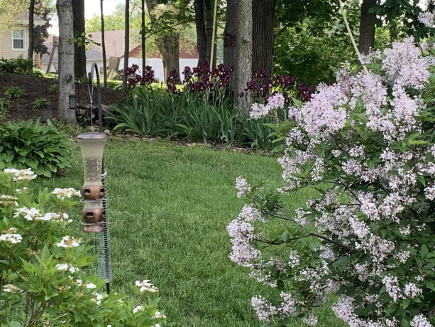 106 MIX, OREGON, Illinois 61061, 3 Bedrooms Bedrooms, ,2 BathroomsBathrooms,House,For Sale,MIX,202600307