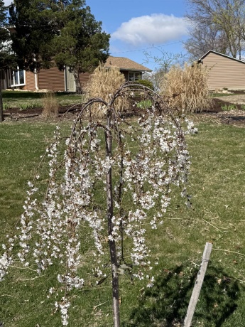 106 MIX, OREGON, Illinois 61061, 3 Bedrooms Bedrooms, ,2 BathroomsBathrooms,House,For Sale,MIX,202600307