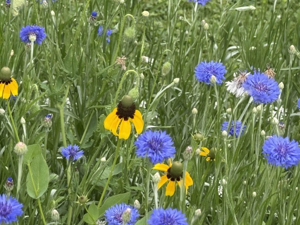 106 MIX, OREGON, Illinois 61061, 3 Bedrooms Bedrooms, ,2 BathroomsBathrooms,House,For Sale,MIX,202600307