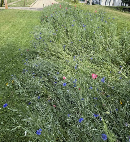 106 MIX, OREGON, Illinois 61061, 3 Bedrooms Bedrooms, ,2 BathroomsBathrooms,House,For Sale,MIX,202600307