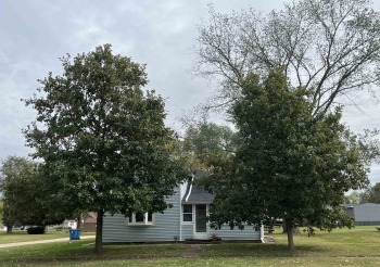 119 Center, Seatonville, Illinois 61359, 3 Bedrooms Bedrooms, ,1 BathroomBathrooms,House,For Sale,Center,202506219