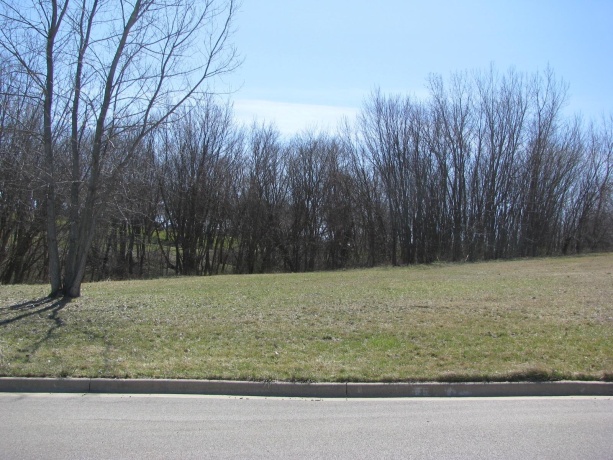 TBD Oldenburg, GALENA, Illinois 61036, ,Commercial Land,For Sale,Oldenburg,202504175