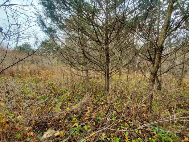 16 Bayberry, GALENA, Illinois 61036, ,Land,For Sale,Bayberry,202600320