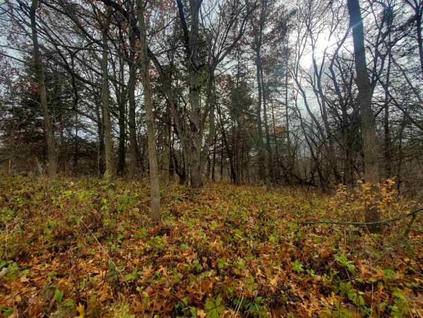 16 Bayberry, GALENA, Illinois 61036, ,Land,For Sale,Bayberry,202600320