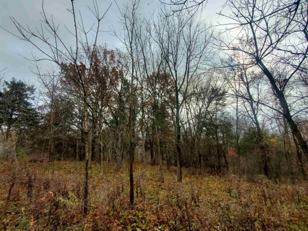 16 Bayberry, GALENA, Illinois 61036, ,Land,For Sale,Bayberry,202600320