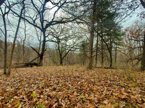 16 Bayberry, GALENA, Illinois 61036, ,Land,For Sale,Bayberry,202600320