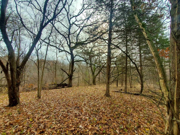 16 Bayberry, GALENA, Illinois 61036, ,Land,For Sale,Bayberry,202600320