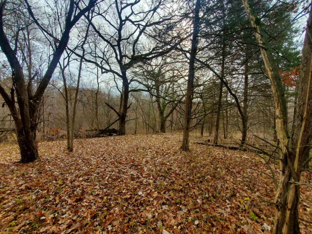 16 Bayberry, GALENA, Illinois 61036, ,Land,For Sale,Bayberry,202600320