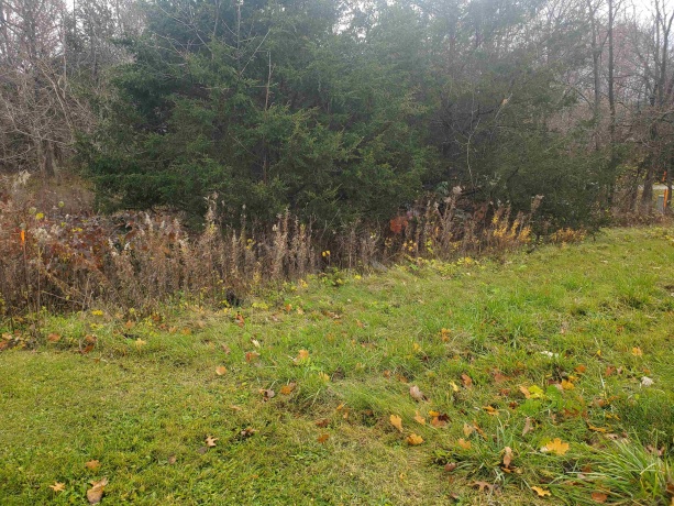 16 Bayberry, GALENA, Illinois 61036, ,Land,For Sale,Bayberry,202600320