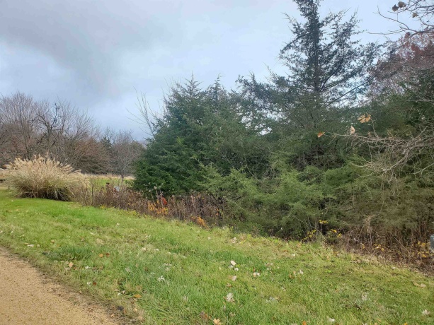 16 Bayberry, GALENA, Illinois 61036, ,Land,For Sale,Bayberry,202600320