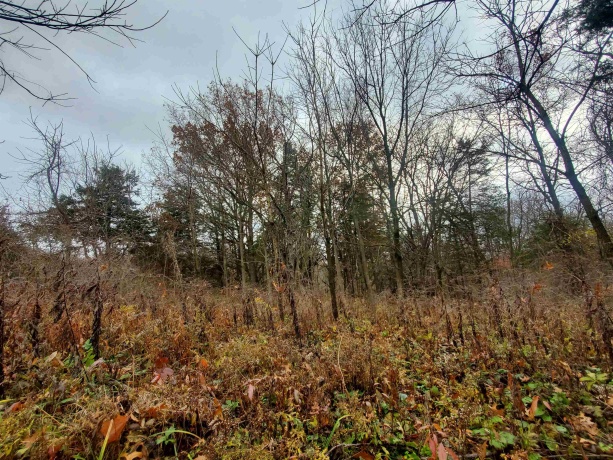 16 Bayberry, GALENA, Illinois 61036, ,Land,For Sale,Bayberry,202600320