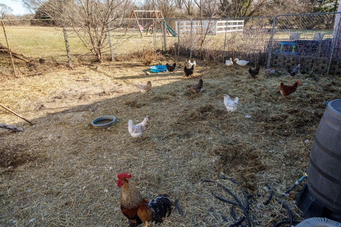 16285 Cannell, ROCKTON, Illinois 61072, 3 Bedrooms Bedrooms, ,2 BathroomsBathrooms,House,For Sale,Cannell,202600325