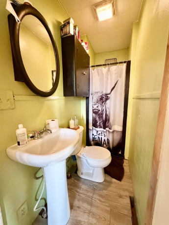 318 Chestnut, SHANNON, Illinois 61078, 3 Bedrooms Bedrooms, ,2 BathroomsBathrooms,House,For Sale,Chestnut,202600338