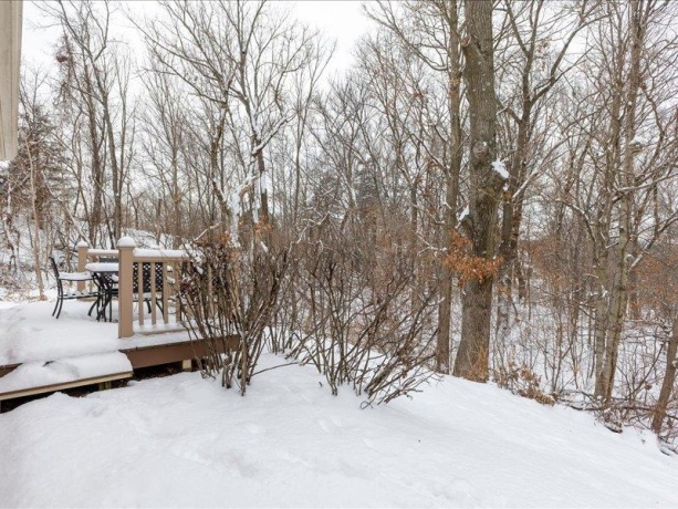 22 Thatcher, GALENA, Illinois 61036, 2 Bedrooms Bedrooms, ,2 BathroomsBathrooms,Condominium,For Sale,Thatcher,202600354