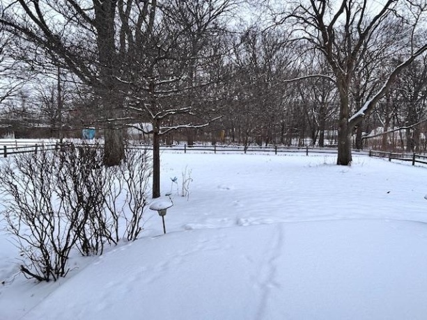 1431 Monticello, ROCKFORD, Illinois 61107, 2 Bedrooms Bedrooms, ,1 BathroomBathrooms,House,For Sale,Monticello,202600364