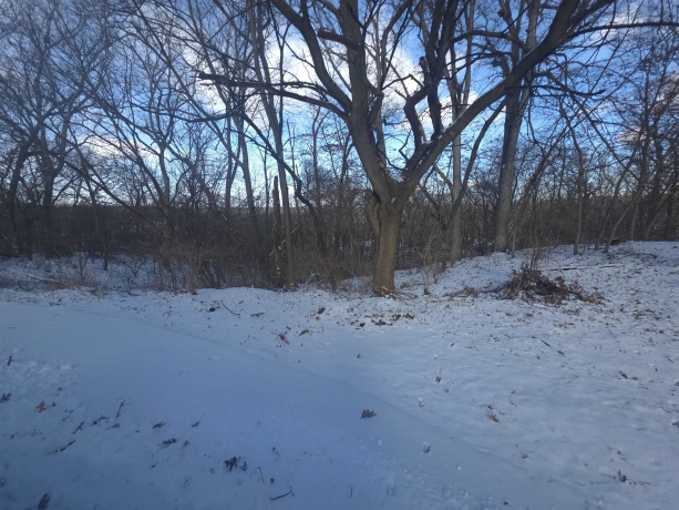 110 Fork, DIXON, Illinois 61021, ,Land,For Sale,Fork,202600370