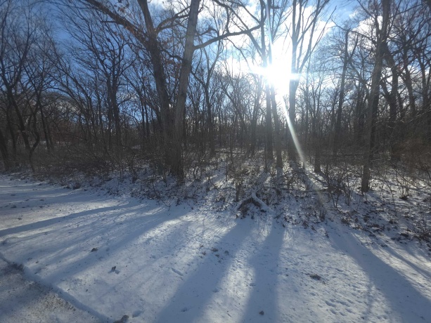 916 Missouri, DIXON, Illinois 61021, ,Land,For Sale,Missouri,202600371