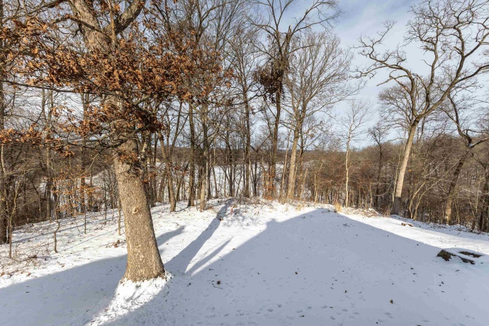 28 Thatcher, GALENA, Illinois 61036, 2 Bedrooms Bedrooms, ,1 BathroomBathrooms,Condominium,For Sale,Thatcher,202600374