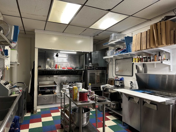 206 MAIN, MOUNT CARROLL, Illinois 61053, ,Other,For Sale,MAIN,202505556